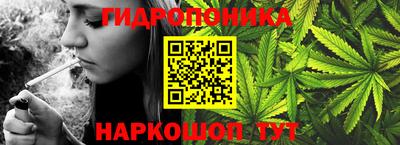 mdpv Кимры