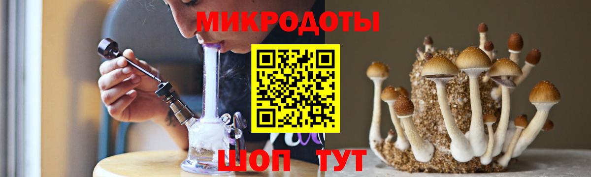 Галлюциногенные грибы ЛСД Елец